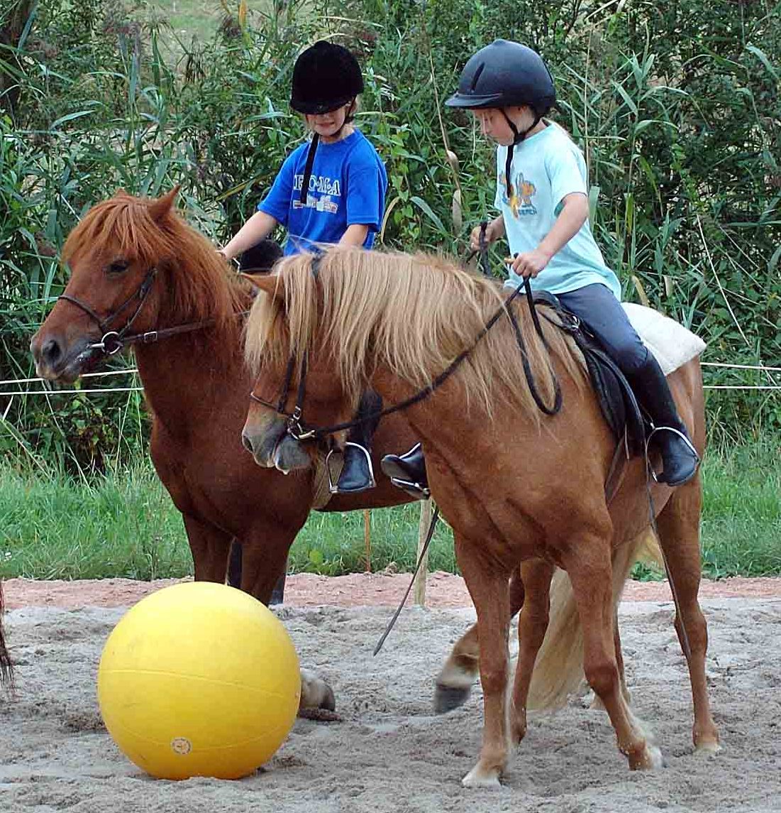 Raudka und Fjörgyn beim Fussball