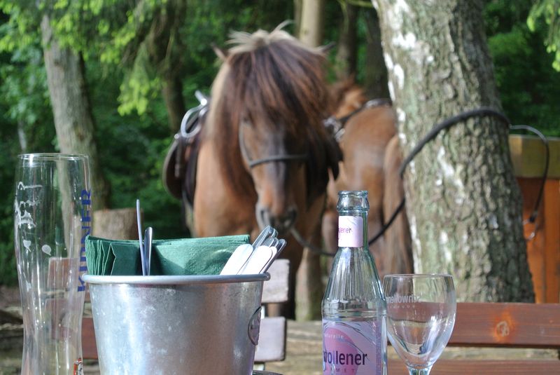 Immer wieder schön: Einkehr-Ritt ins Waldheim