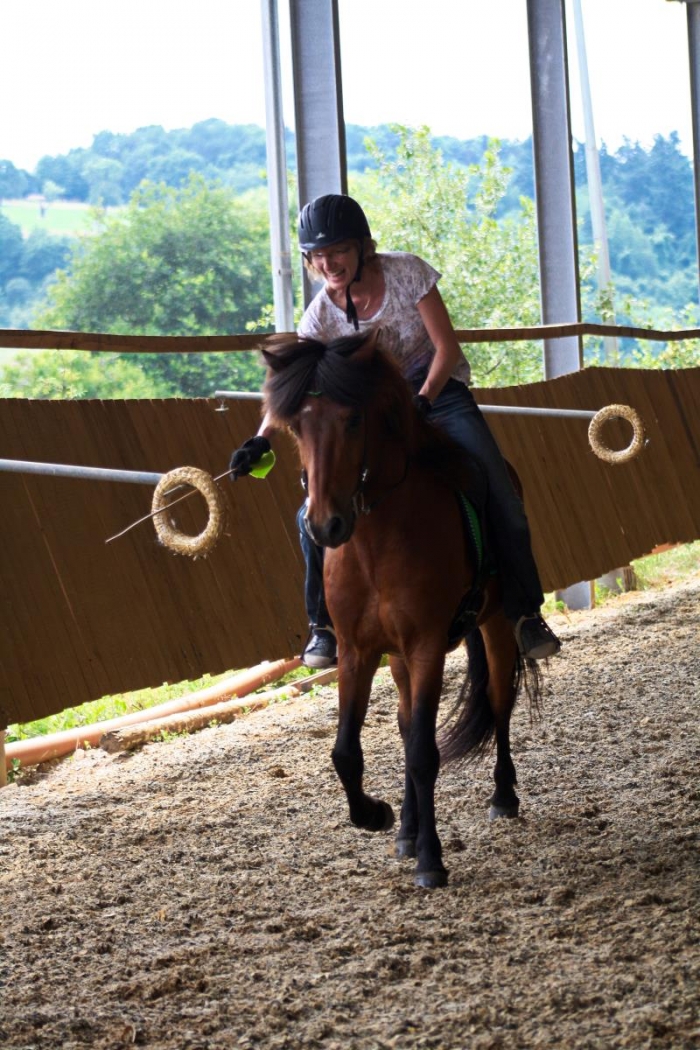 Ankündigung - FUN-Turnier für Einsteller, Reitbeteiligungen und Freunde