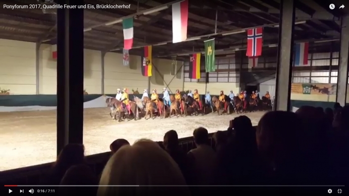 Quadrille in Standenbühl war ein voller Erfolg!